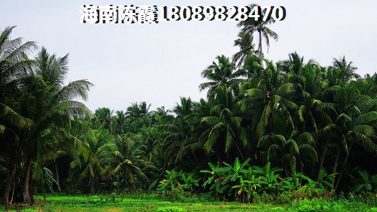 卓越盈滨悦府房子70年产权到期后归谁？