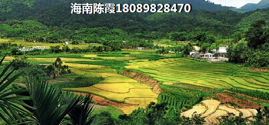 瑞佳万树阳光楼盘详情