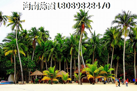 鑫昌润学府花苑户型图怎么看？