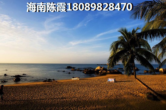 海南世纪花园房子生纸因素