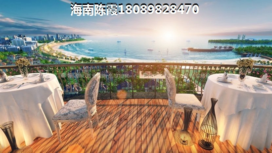 金螺湾楼盘详情
