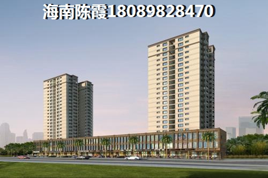 海南半岛壹号
