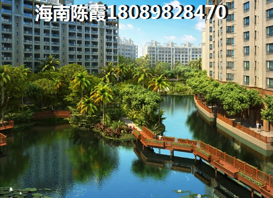 海湾雨林团购