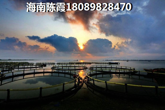 海湾雨林海景房的优势和不足