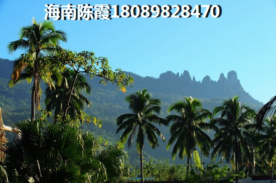 海南·金城帝景广场VS阳光城分析对比 海南·金城帝景广场VS阳光城分析对比