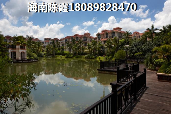 海南全域XG政策