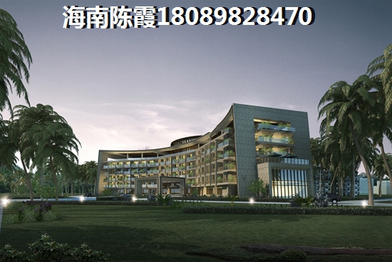 海南盈滨半岛新房生纸快吗