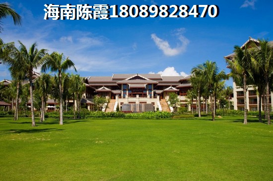 为什么海南房价还不下降，房价上涨因素~