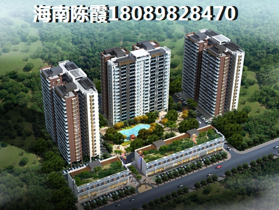以后海南的楼盘有touzi价纸吗？