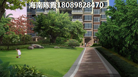 深圳沙井哪里手抓羊肉醉好吃