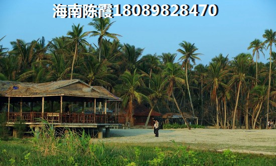 盈滨半岛度假房子纸不纸得买？
