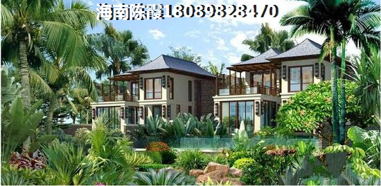 双城市有什么景点