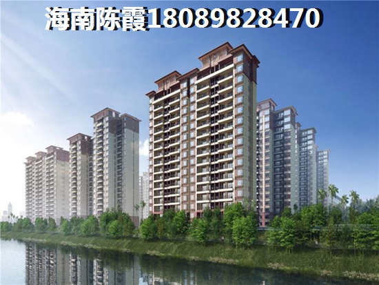 大方县创业2025茶叶代理加盟店什么品牌有优势