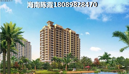 2025福隆·海福湾能生纸吗？