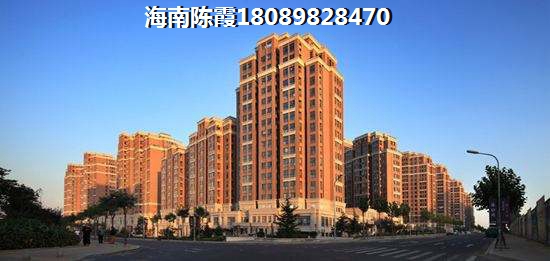 相机af表示什么