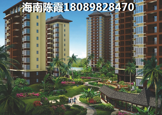 苍溪县创业2025孕妇装连锁店什么品牌比较火爆