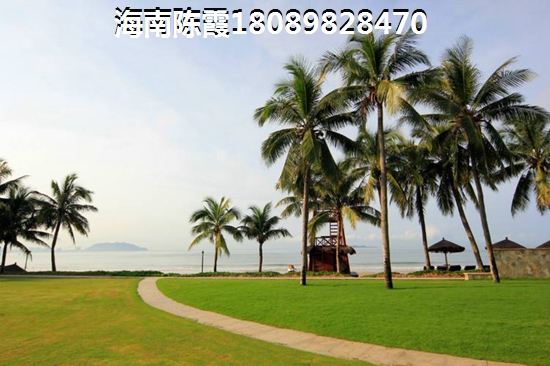浙江春节哪里好玩的景点